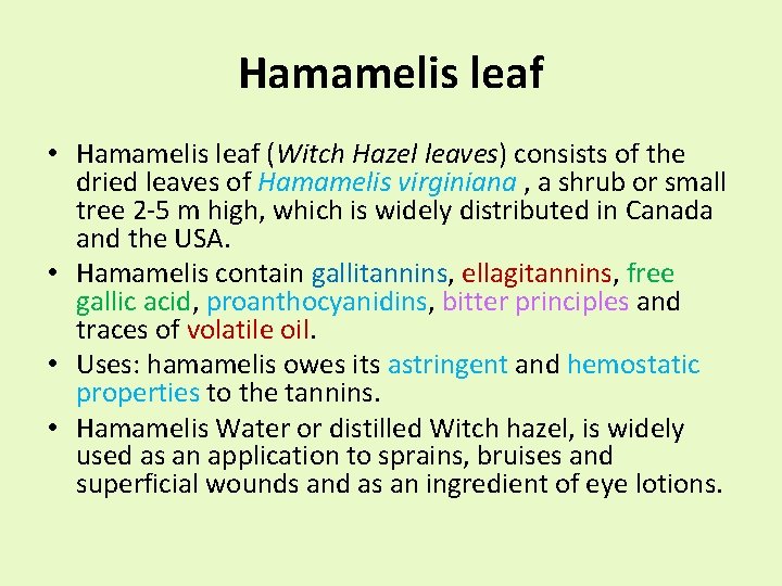 Hamamelis leaf • Hamamelis leaf (Witch Hazel leaves) consists of the dried leaves of