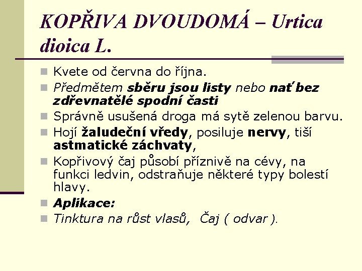 KOPŘIVA DVOUDOMÁ – Urtica dioica L. n Kvete od června do října. n Předmětem