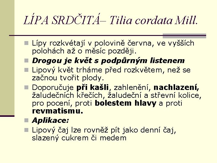 LÍPA SRDČITÁ– Tilia cordata Mill. n Lípy rozkvétají v polovině června, ve vyšších n