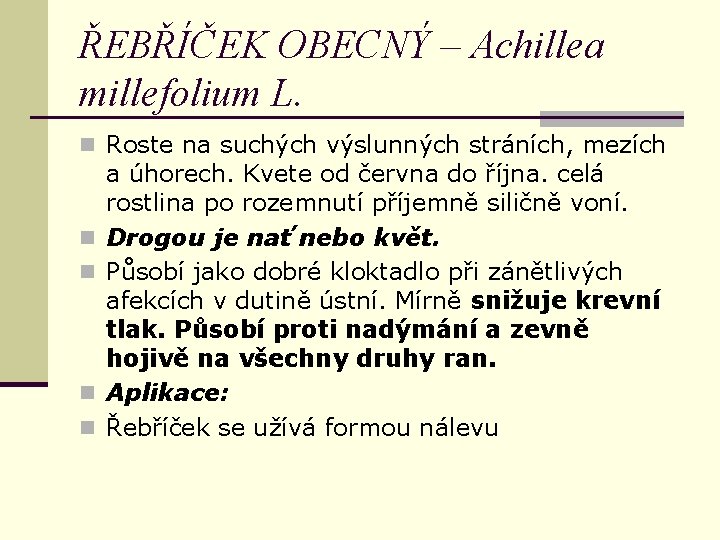 ŘEBŘÍČEK OBECNÝ – Achillea millefolium L. n Roste na suchých výslunných stráních, mezích n