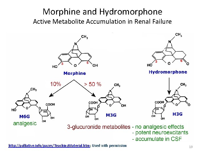 Morphine and Hydromorphone Active Metabolite Accumulation in Renal Failure http: //palliative. info/pages/Teaching. Material. htm;