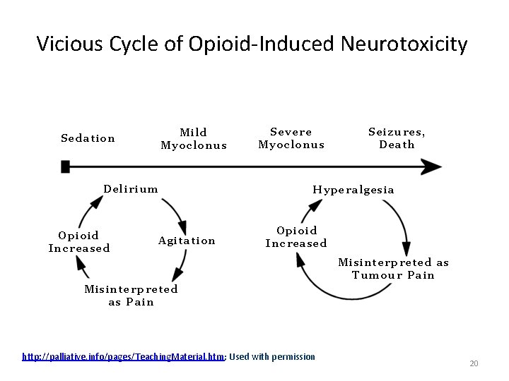 Vicious Cycle of Opioid-Induced Neurotoxicity http: //palliative. info/pages/Teaching. Material. htm; Used with permission 20