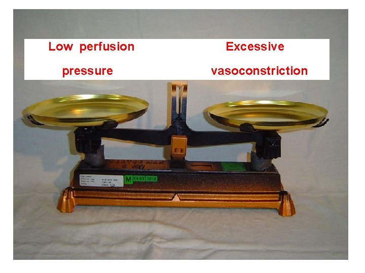 Low perfusion pressure Excessive vasoconstriction 