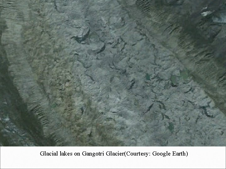 Glacial lakes on Gangotri Glacier(Courtesy: Google Earth) 