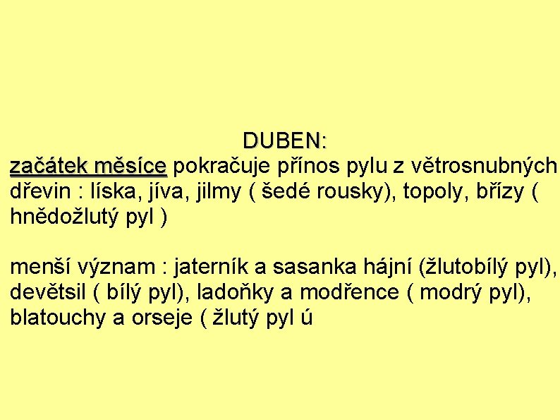 DUBEN: začátek měsíce pokračuje přínos pylu z větrosnubných dřevin : líska, jíva, jilmy (