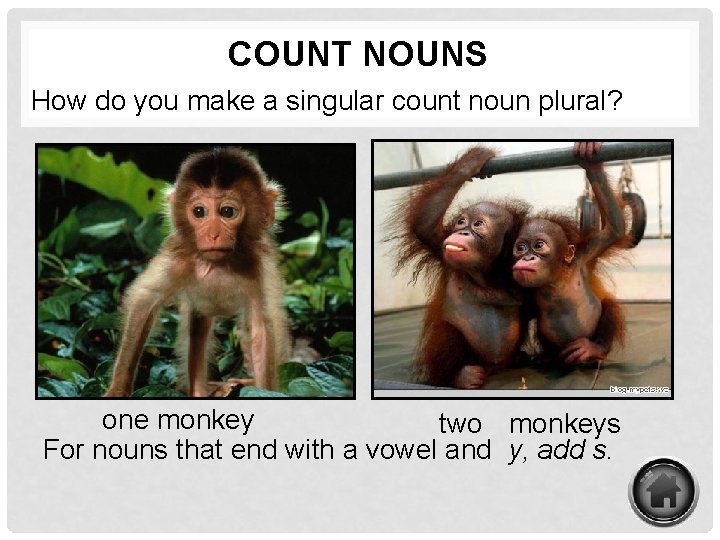 COUNT NOUNS How do you make a singular count noun plural? one monkey two