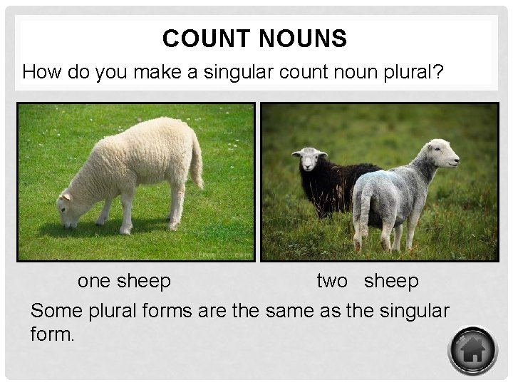 COUNT NOUNS How do you make a singular count noun plural? one sheep two