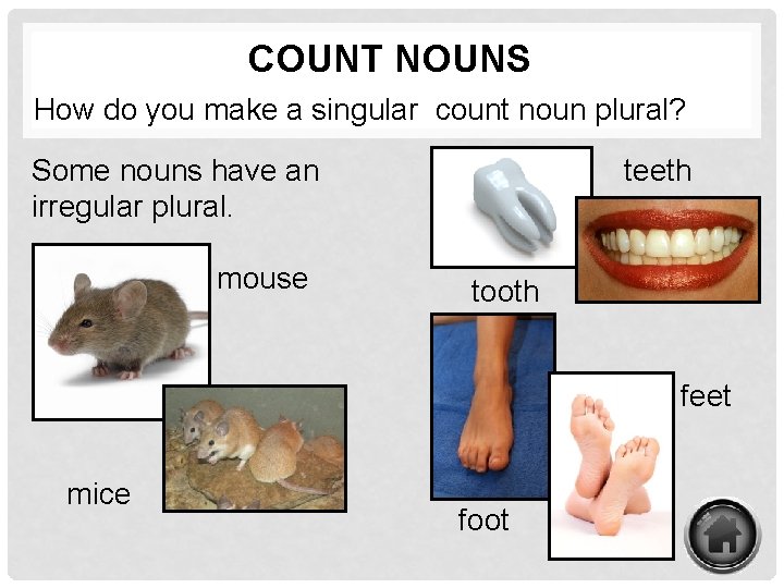 COUNT NOUNS How do you make a singular count noun plural? Some nouns have