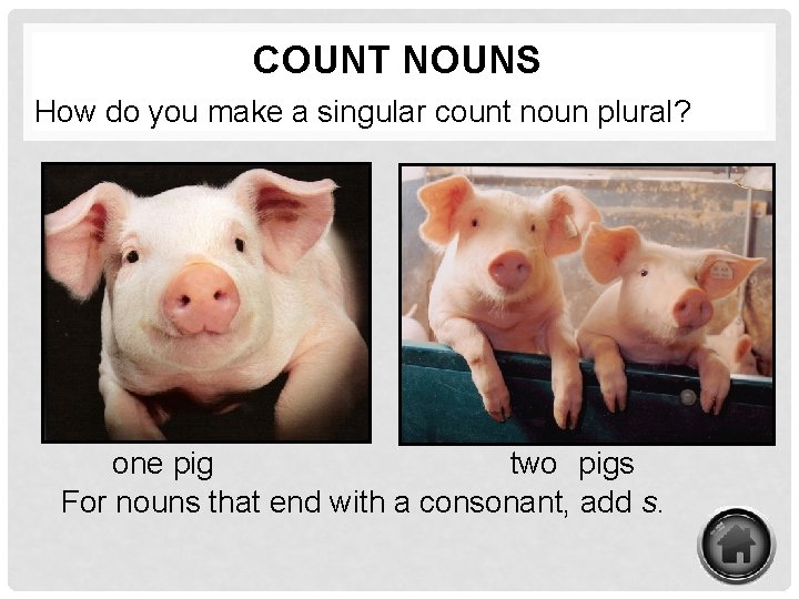 COUNT NOUNS How do you make a singular count noun plural? one pig two