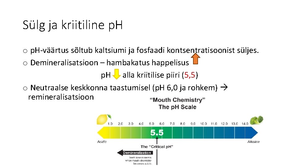 Sülg ja kriitiline p. H o p. H-väärtus sõltub kaltsiumi ja fosfaadi kontsentratisoonist süljes.