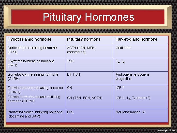 Pituitary Hormones Hypothalamic hormone Pituitary hormone Target-gland hormone Corticotropin-releasing hormone (CRH) ACTH (LPH, MSH,