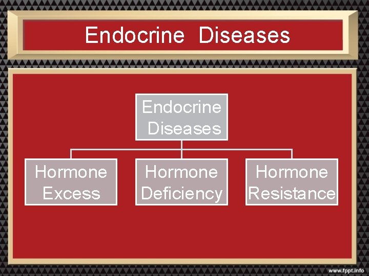 Endocrine Diseases Hormone Excess Hormone Deficiency Hormone Resistance 