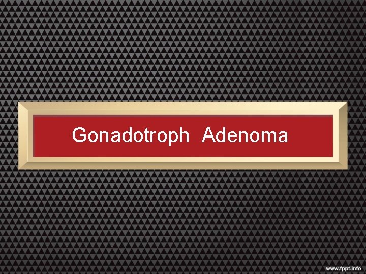 Gonadotroph Adenoma 