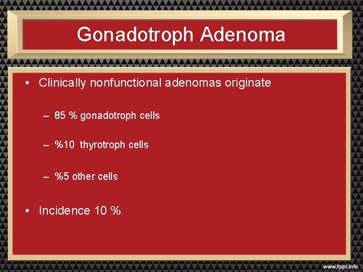 Gonadotroph Adenoma • Clinically nonfunctional adenomas originate – 85 % gonadotroph cells – %10