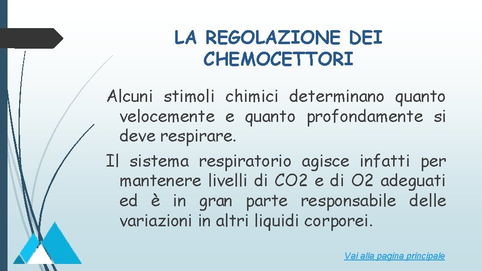 LA REGOLAZIONE DEI CHEMOCETTORI Alcuni stimoli chimici determinano quanto velocemente e quanto profondamente si