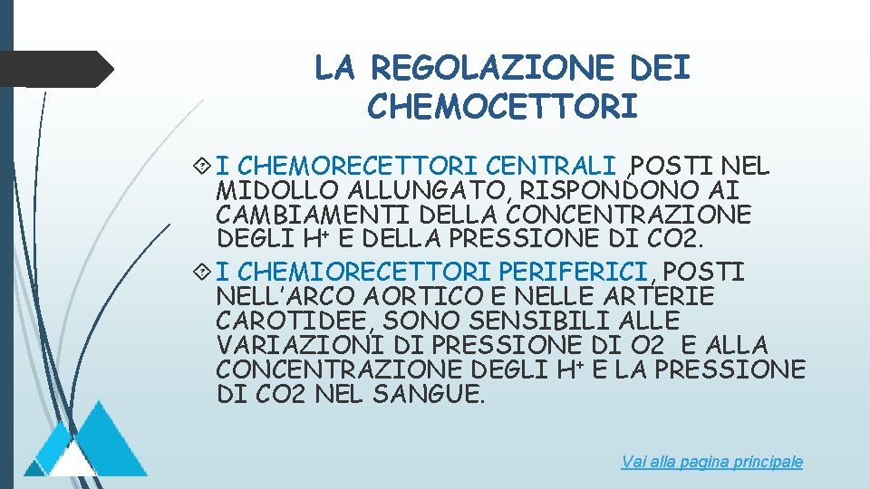 LA REGOLAZIONE DEI CHEMOCETTORI I CHEMORECETTORI CENTRALI , POSTI NEL MIDOLLO ALLUNGATO, RISPONDONO AI