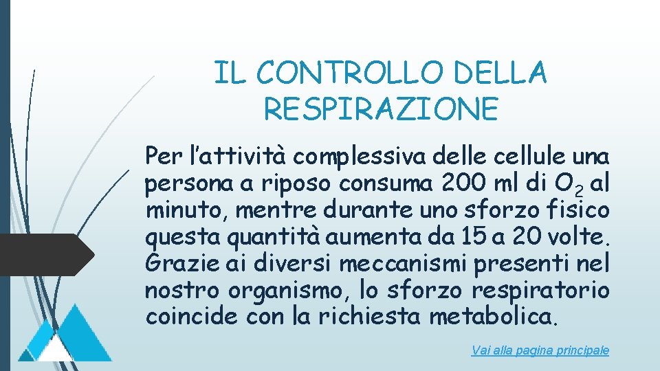 IL CONTROLLO DELLA RESPIRAZIONE Per l’attività complessiva delle cellule una persona a riposo consuma