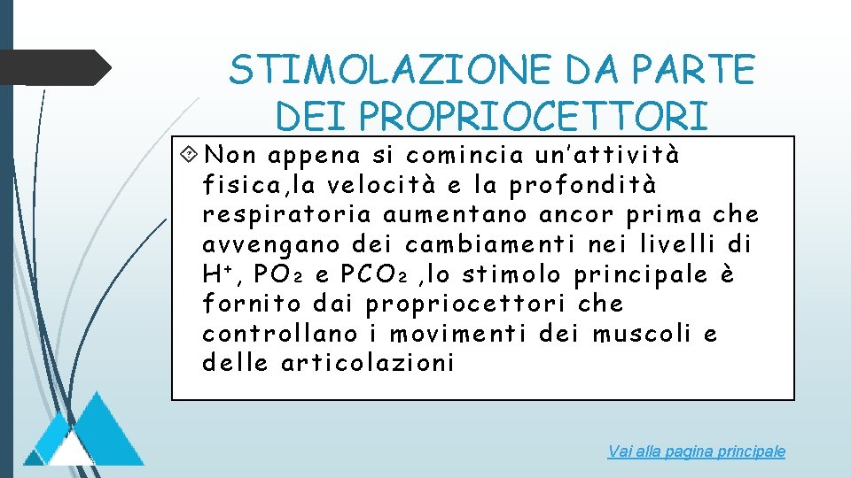 STIMOLAZIONE DA PARTE DEI PROPRIOCETTORI Non appena si comincia un’attività fisica, la velocità e