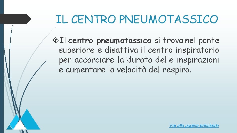 IL CENTRO PNEUMOTASSICO Il centro pneumotassico si trova nel ponte superiore e disattiva il