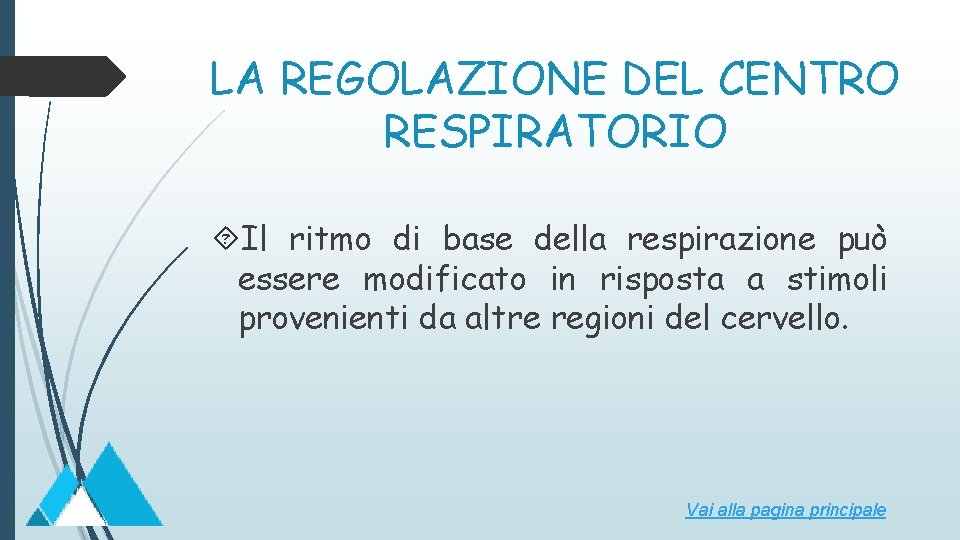 LA REGOLAZIONE DEL CENTRO RESPIRATORIO Il ritmo di base della respirazione può essere modificato