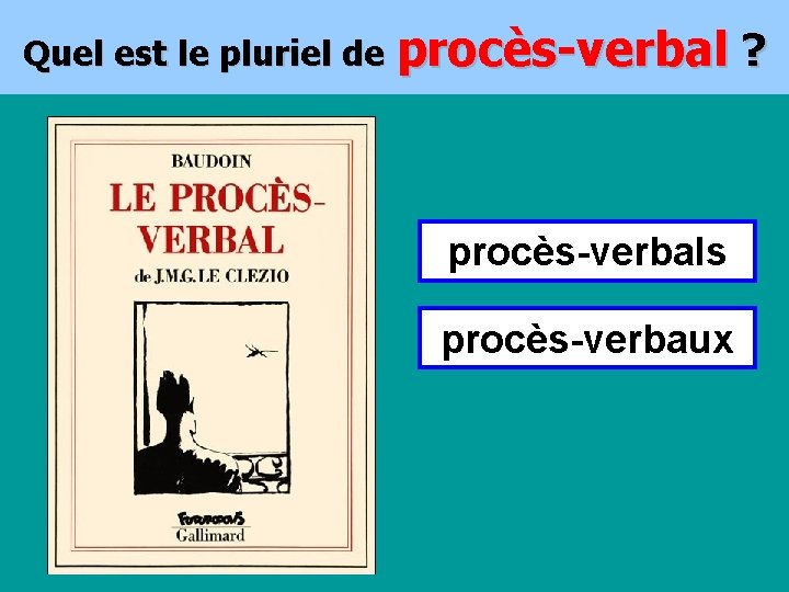 Quel est le pluriel de procès-verbal ? procès-verbals procès-verbaux 