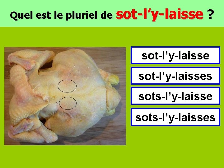 Quel est le pluriel de sot-l’y-laisse ? sot-l’y-laisses sots-l’y-laisses 