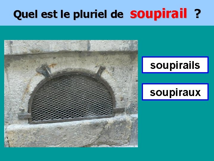 Quel est le pluriel de soupirail ? soupirails soupiraux 