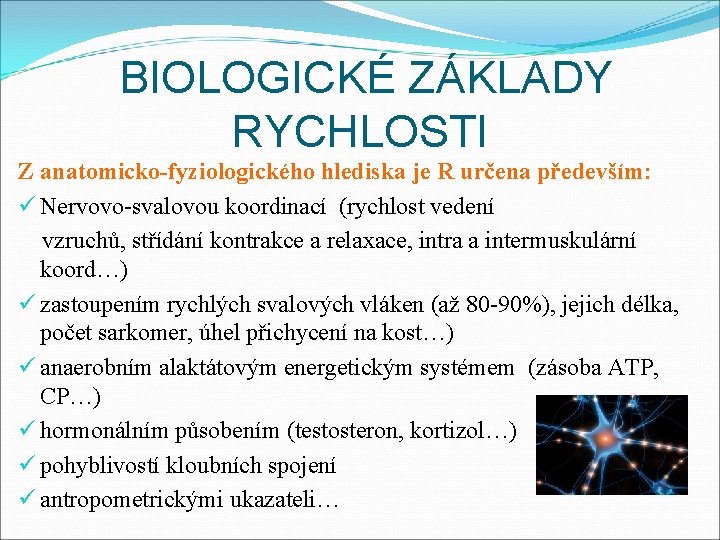 BIOLOGICKÉ ZÁKLADY RYCHLOSTI Z anatomicko-fyziologického hlediska je R určena především: ü Nervovo-svalovou koordinací (rychlost