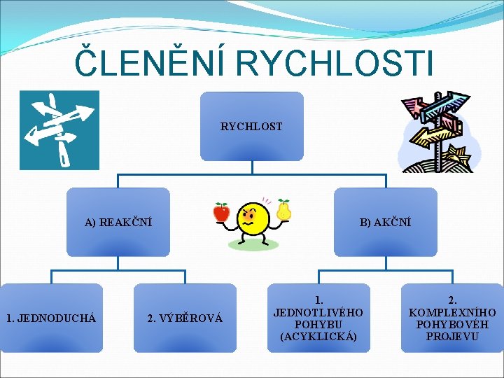 ČLENĚNÍ RYCHLOSTI RYCHLOST A) REAKČNÍ 1. JEDNODUCHÁ 2. VÝBĚROVÁ B) AKČNÍ 1. JEDNOTLIVÉHO POHYBU