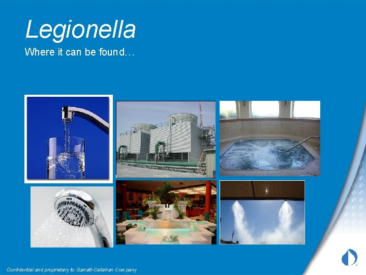 Legionella Where it can be found… Confidential and proprietary to Garratt-Callahan Company 