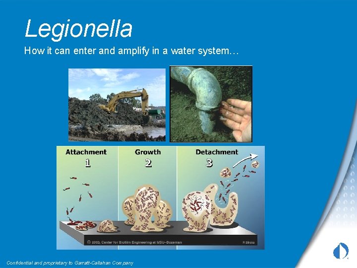 Legionella How it can enter and amplify in a water system… Confidential and proprietary