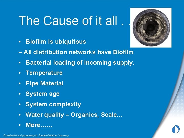 The Cause of it all. . . • Biofilm is ubiquitous – All distribution