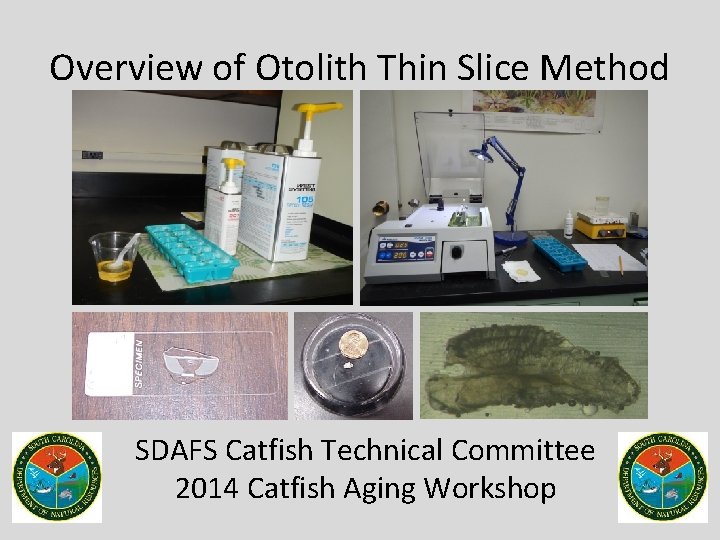 Overview of Otolith Thin Slice Method SDAFS Catfish Technical Committee 2014 Catfish Aging Workshop