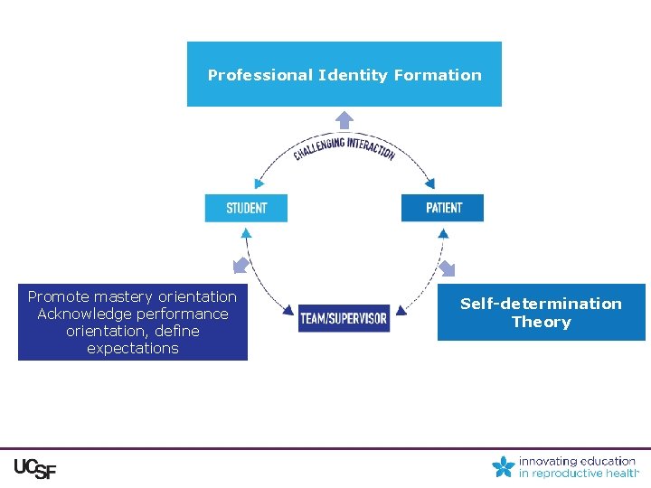 Professional Identity Formation Promote mastery orientation Acknowledge performance orientation, define expectations Self-determination Theory 