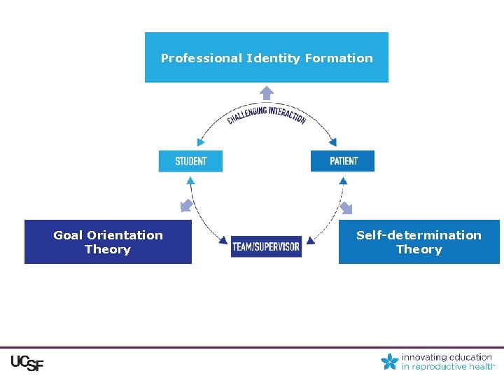 Professional Identity Formation Goal Orientation Theory Self-determination Theory 