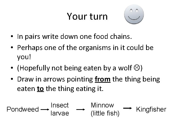 Your turn • In pairs write down one food chains. • Perhaps one of