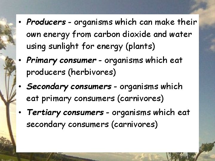  • Producers - organisms which can make their own energy from carbon dioxide