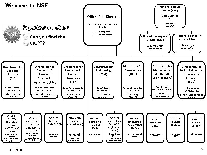 Welcome to NSF National Science Board (NSB) Organization Chart Office of the Director Diane
