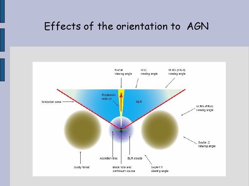 Effects of the orientation to AGN 