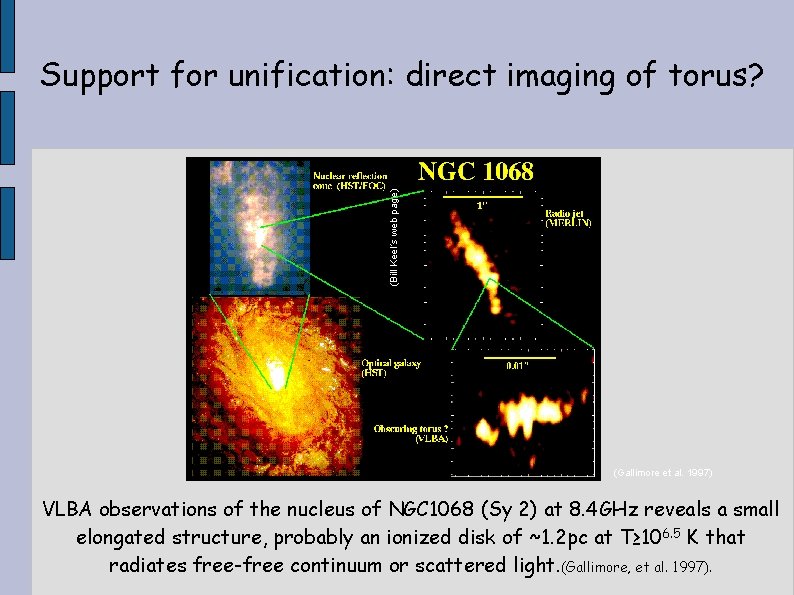 (Bill Keel´s web page) Support for unification: direct imaging of torus? (Gallimore et al.