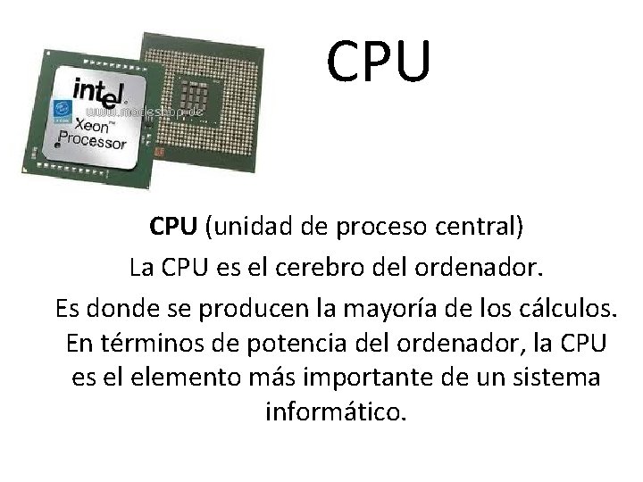  CPU (unidad de proceso central) La CPU es el cerebro del ordenador. Es