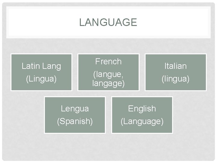 LANGUAGE Latin Lang (Lingua) French Italian (langue, langage) (lingua) Lengua English (Spanish) (Language) 