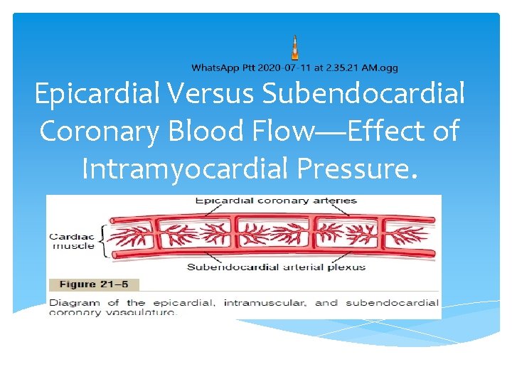 Epicardial Versus Subendocardial Coronary Blood Flow—Effect of Intramyocardial Pressure. 