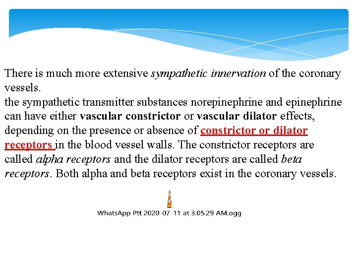 There is much more extensive sympathetic innervation of the coronary vessels. the sympathetic transmitter