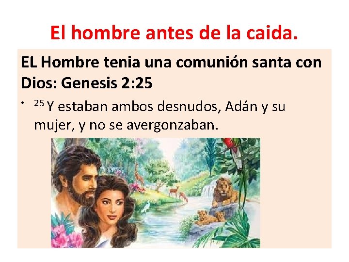 El hombre antes de la caida. EL Hombre tenia una comunión santa con Dios: