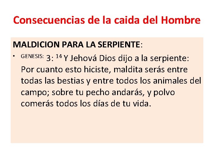 Consecuencias de la caida del Hombre MALDICION PARA LA SERPIENTE: • GENESIS: 3: 14