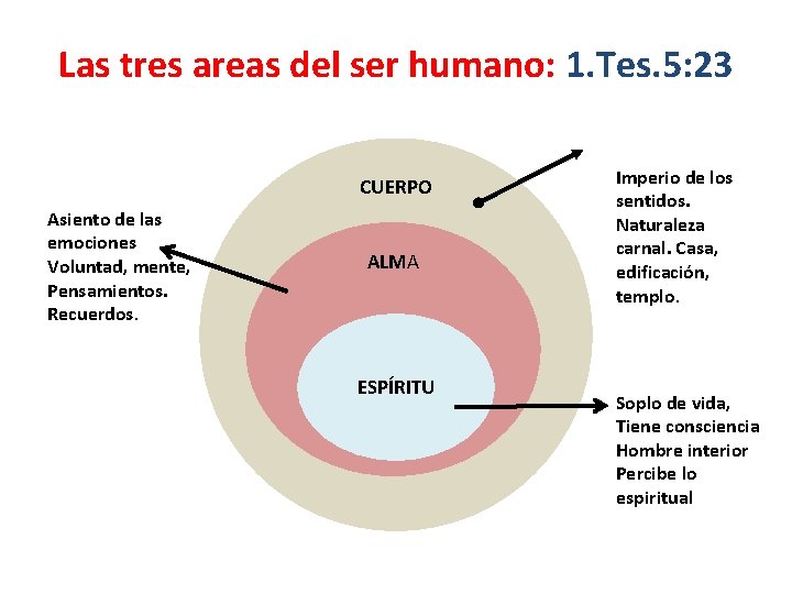 Las tres areas del ser humano: 1. Tes. 5: 23 CUERPO Asiento de las