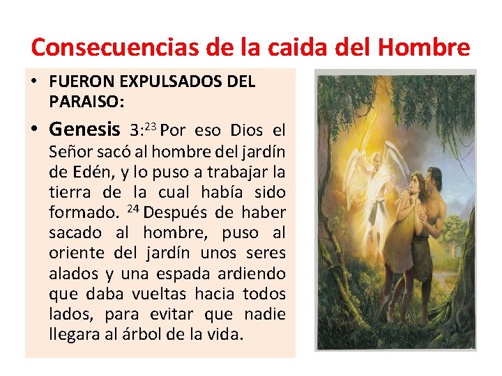 Consecuencias de la caida del Hombre • FUERON EXPULSADOS DEL PARAISO: • Genesis 3: