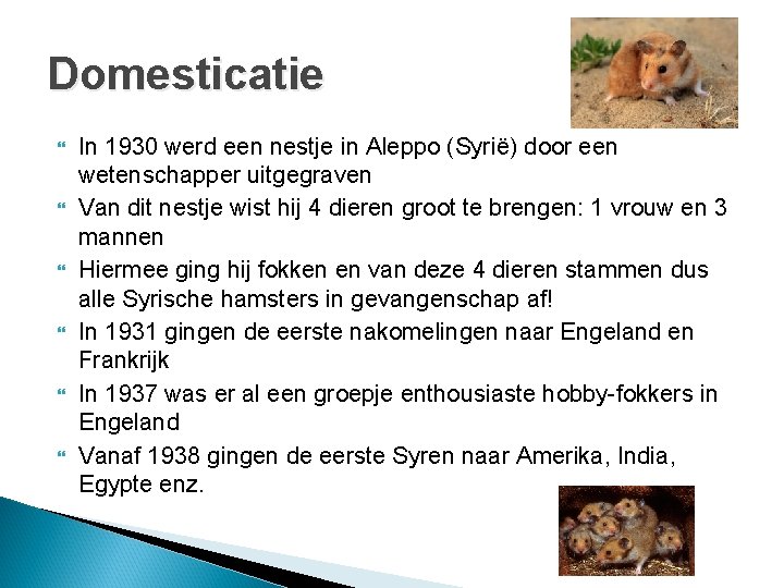 Domesticatie In 1930 werd een nestje in Aleppo (Syrië) door een wetenschapper uitgegraven Van