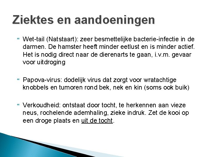 Ziektes en aandoeningen Wet-tail (Natstaart): zeer besmettelijke bacterie-infectie in de darmen. De hamster heeft